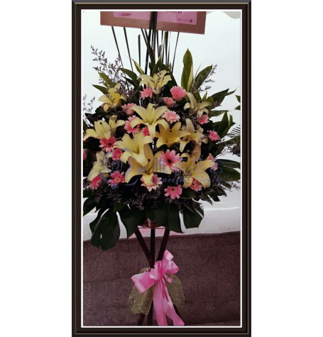 CBF-001
